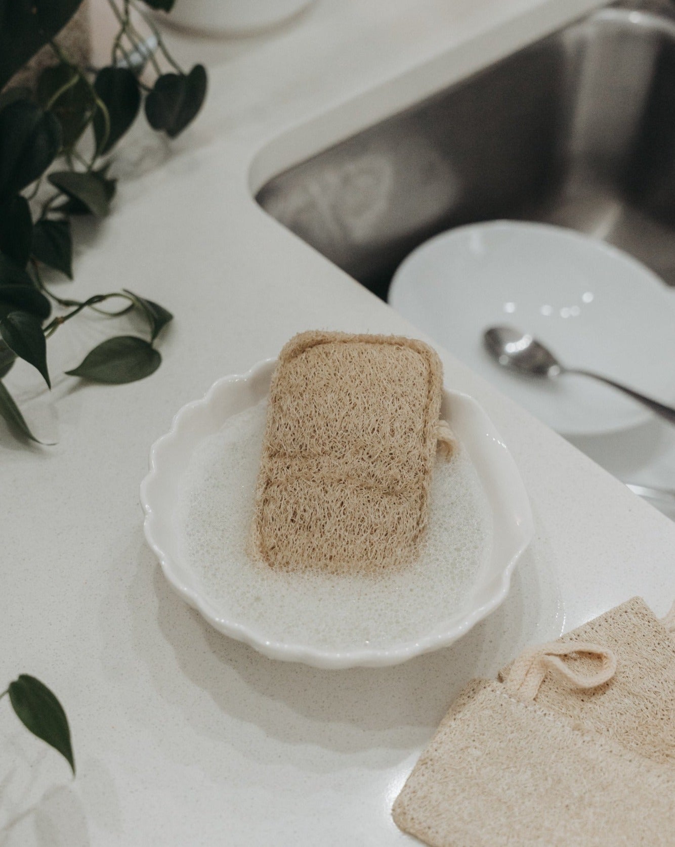 3 Pack Natural Loofah Sponge