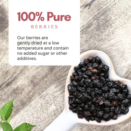 Organic Elderberries Dried 1 lb (454 g)