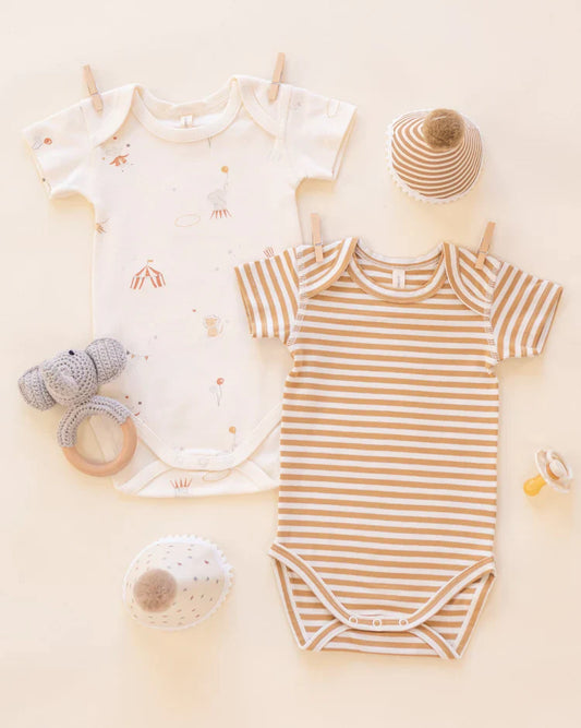 Short Sleeve Bodysuit Pack | Carnival, Honey Stripe | Quincy Mae